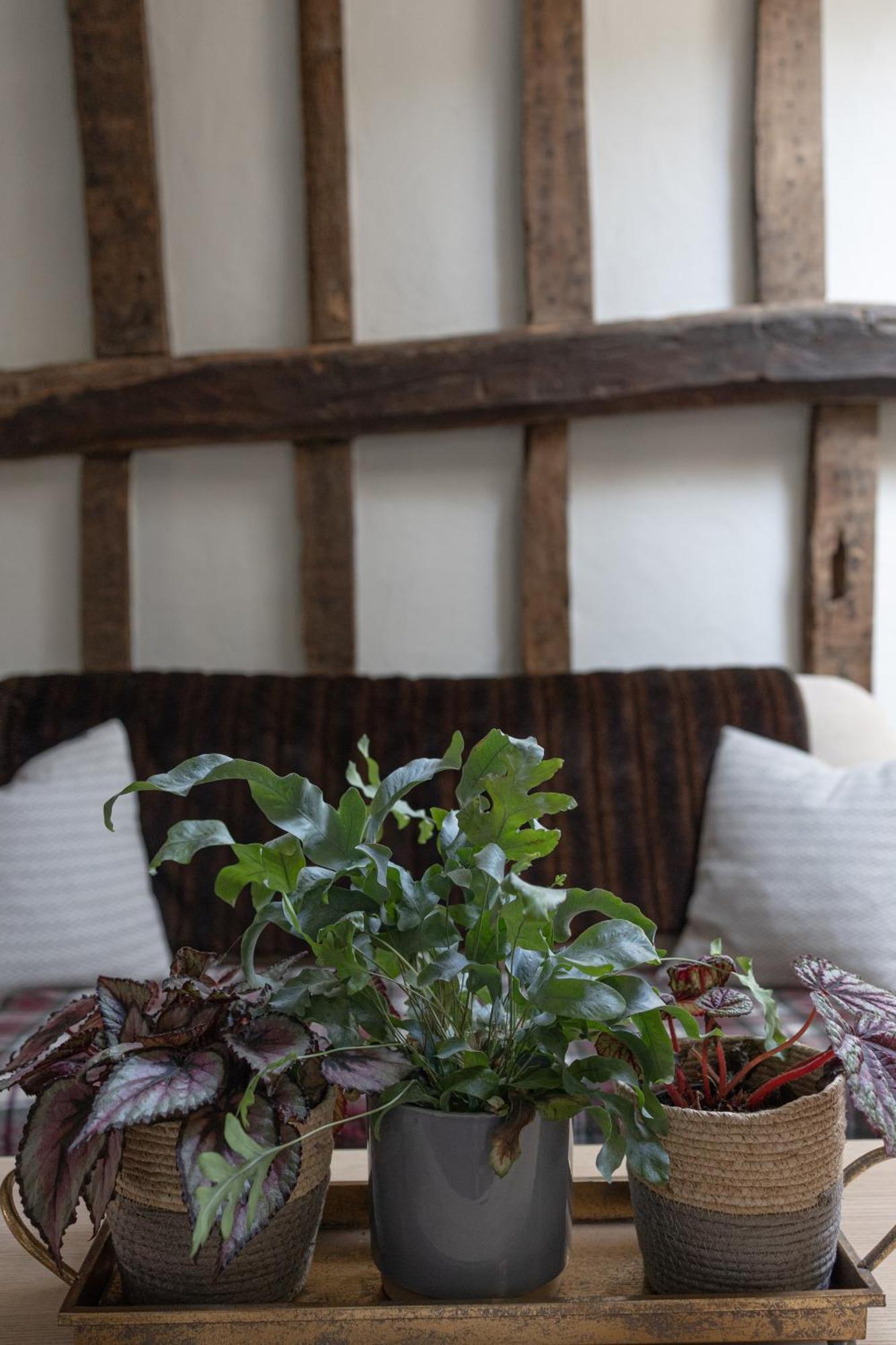 Saltmarsh Farmhouse Westdean Luaran gambar